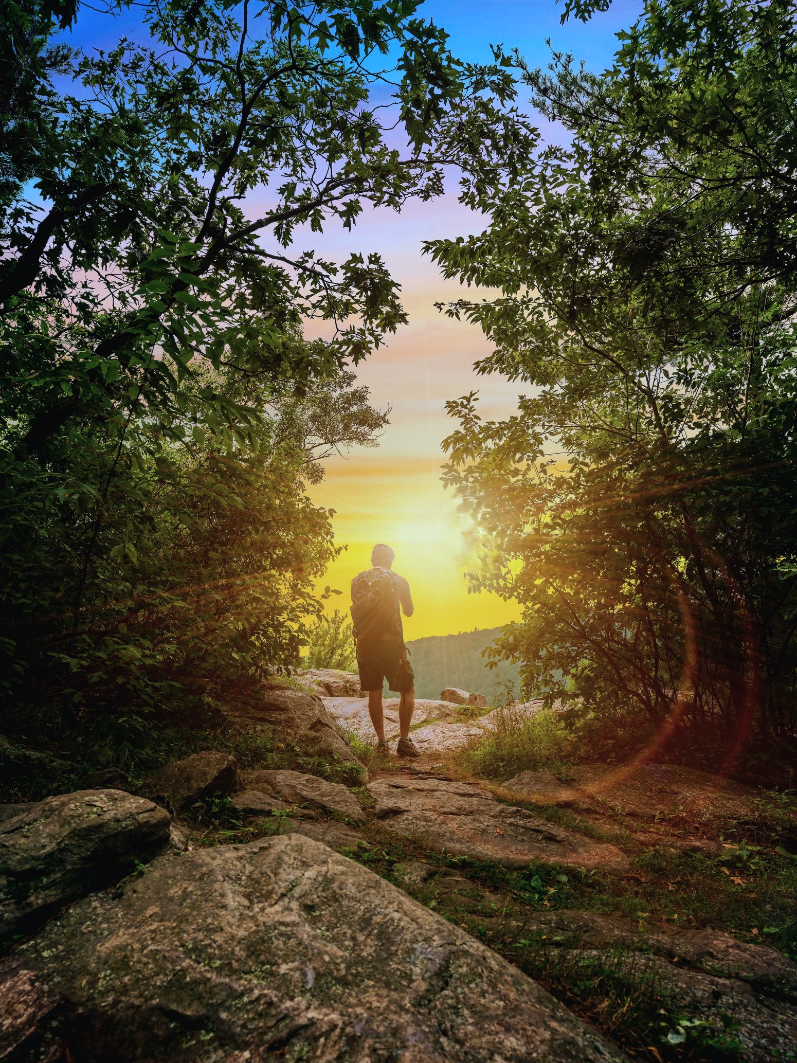 The vivid setting sun through a clearing on a hiking trail