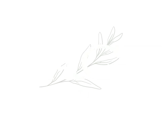 Sage Investments Logo