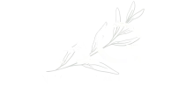 Sage investment logo